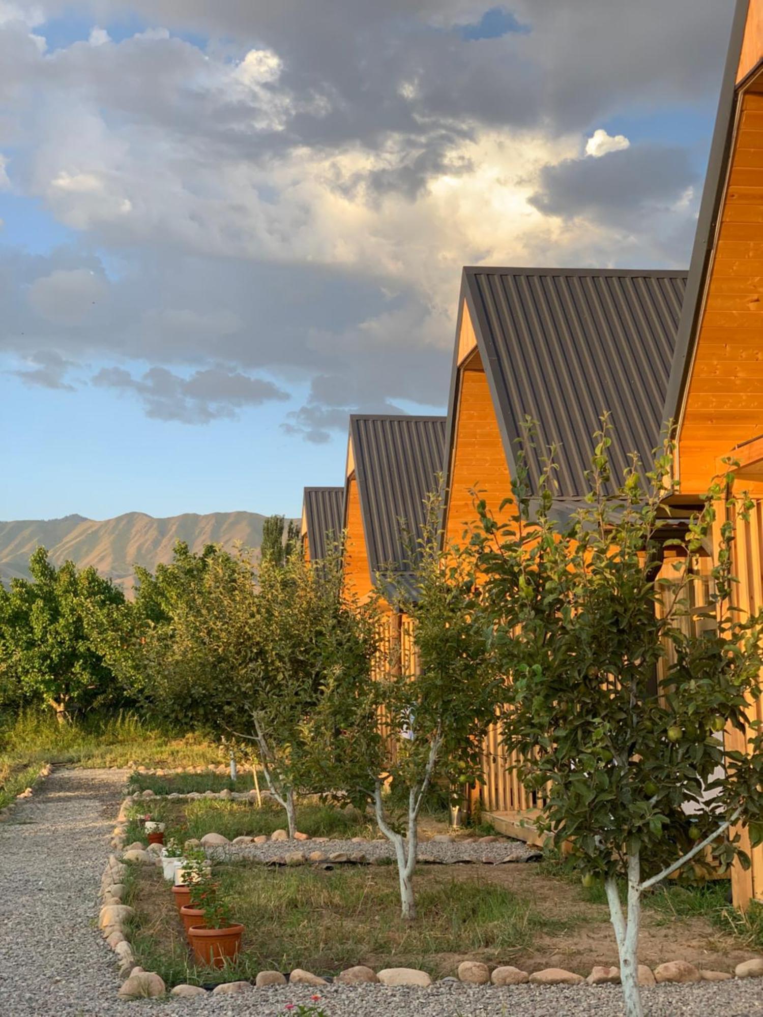 Coral Houses Тосор Экстерьер фото