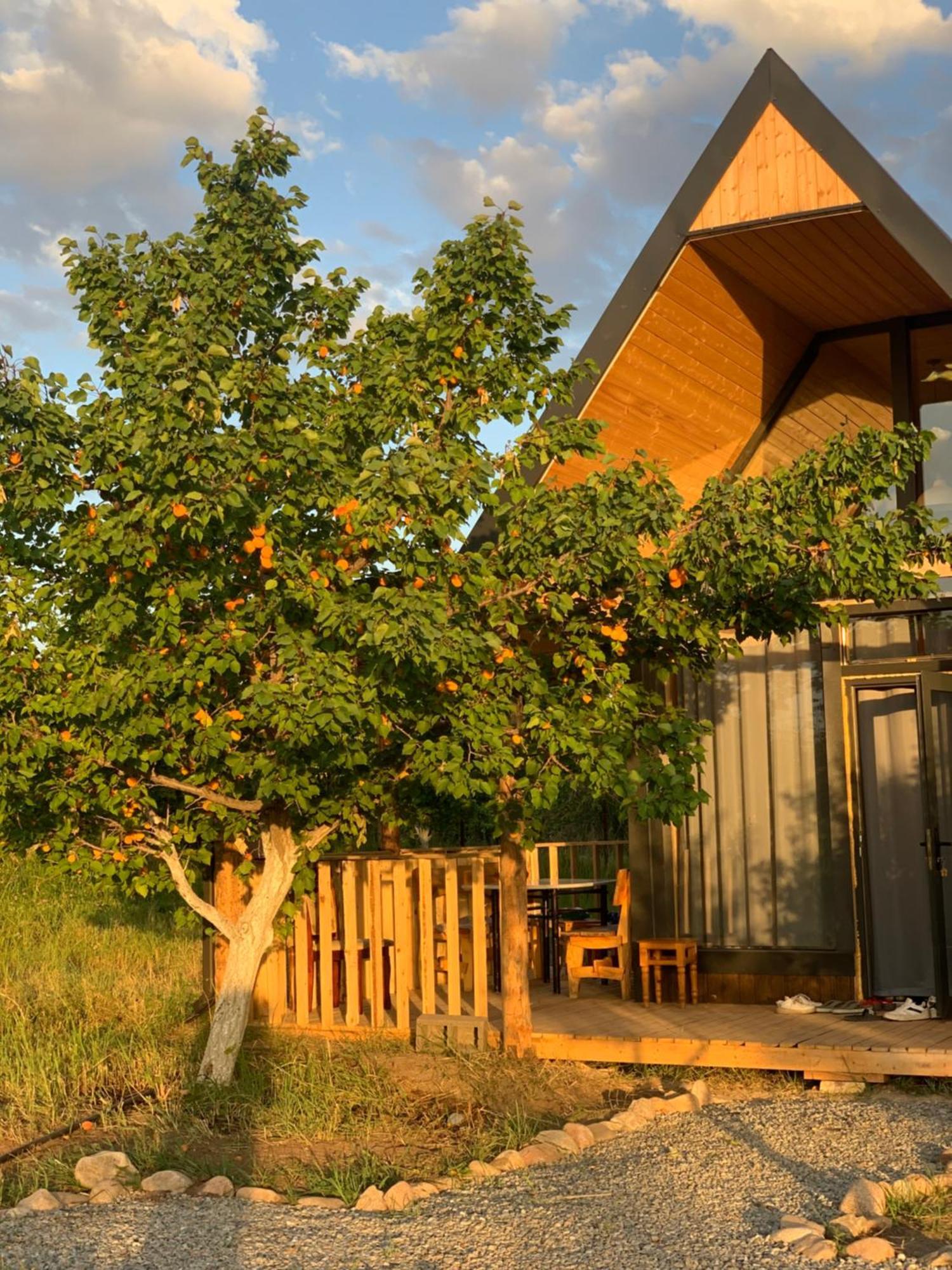 Coral Houses Тосор Экстерьер фото